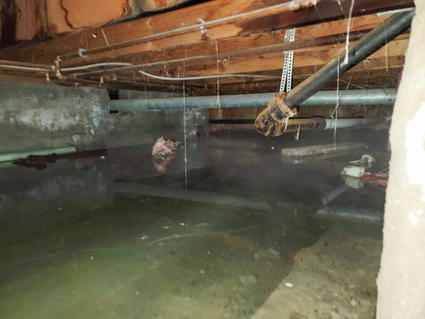 Best Flooded house restoration  in Chamberlayne, VA