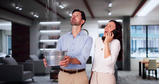 Best Water damage restoration specialists  in Chamberlayne, VA
